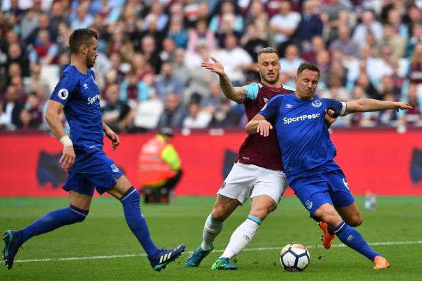 样化发展注 样化发展注