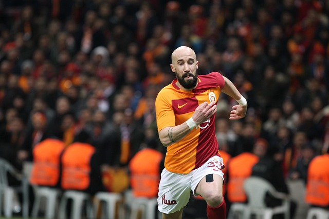 冷静分析形 冷静分析形